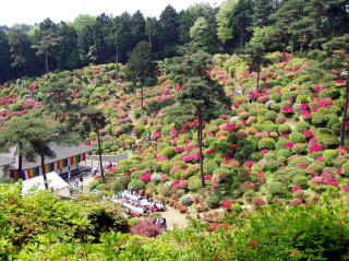 R낷